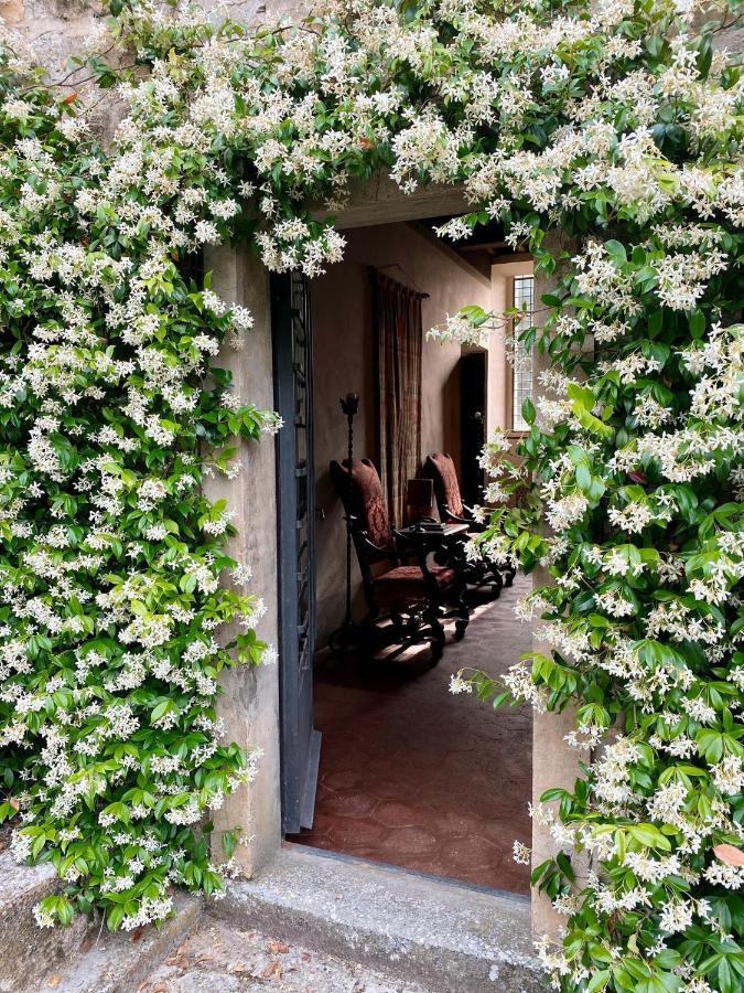 Apartamento Tenuta Di San Giusto In Salcio Gaiole in Chianti Exterior foto