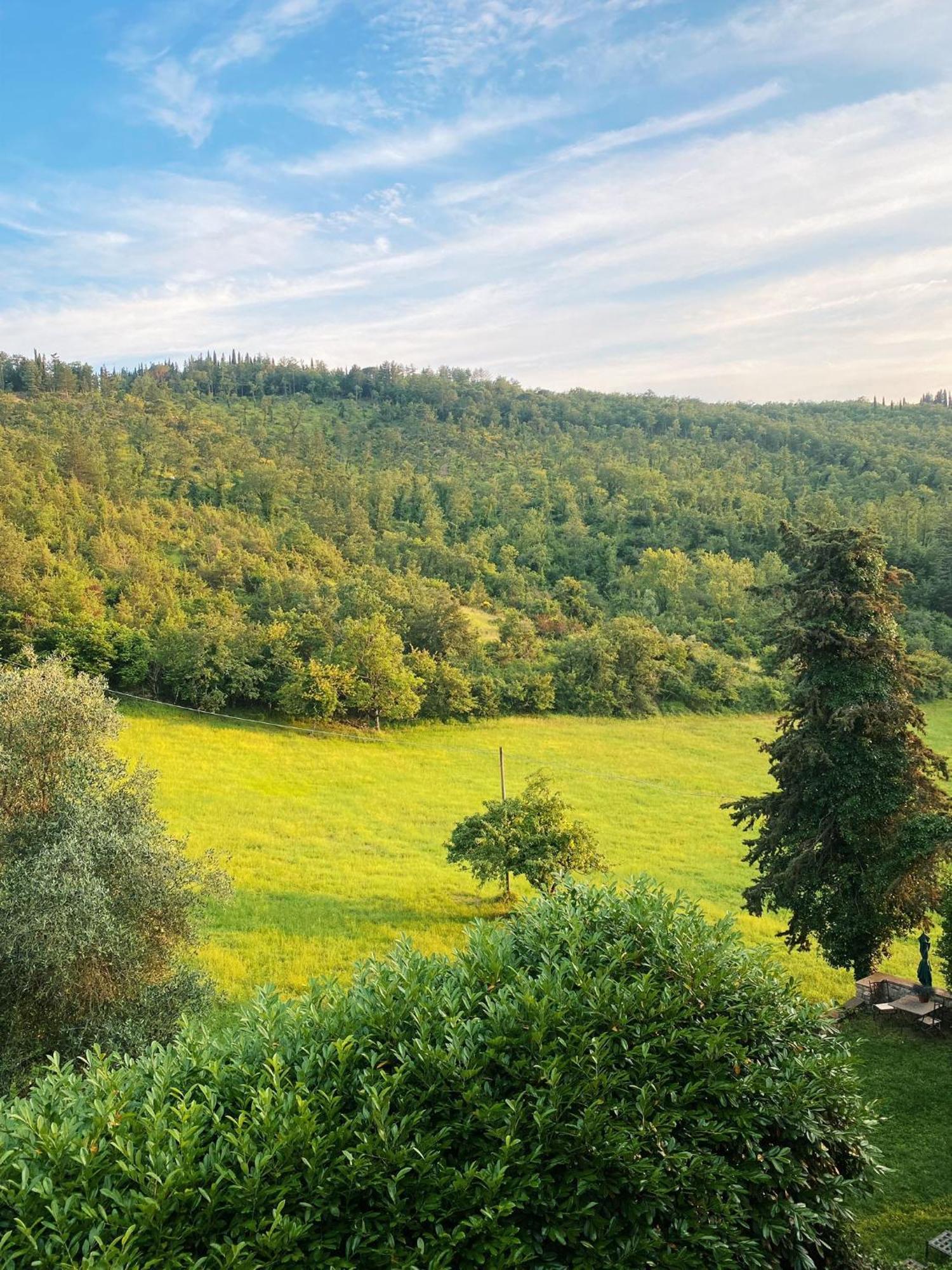 Apartamento Tenuta Di San Giusto In Salcio Gaiole in Chianti Exterior foto